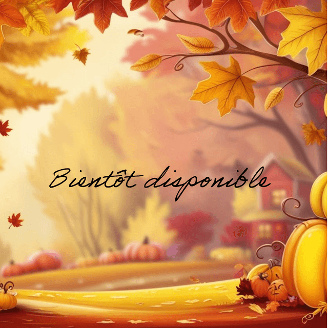 Collection automne 